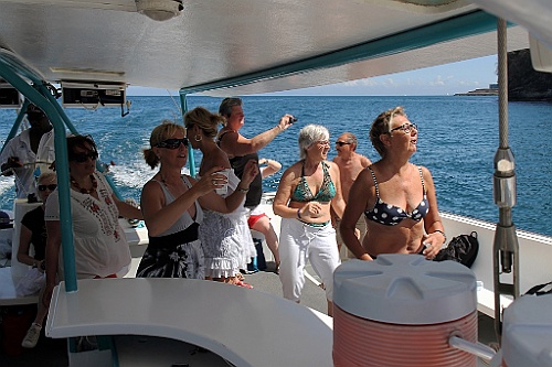 cruise14 (702)